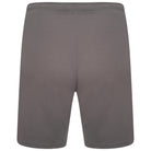 Puma Team Rise Shorts in Smoked Pearl/White