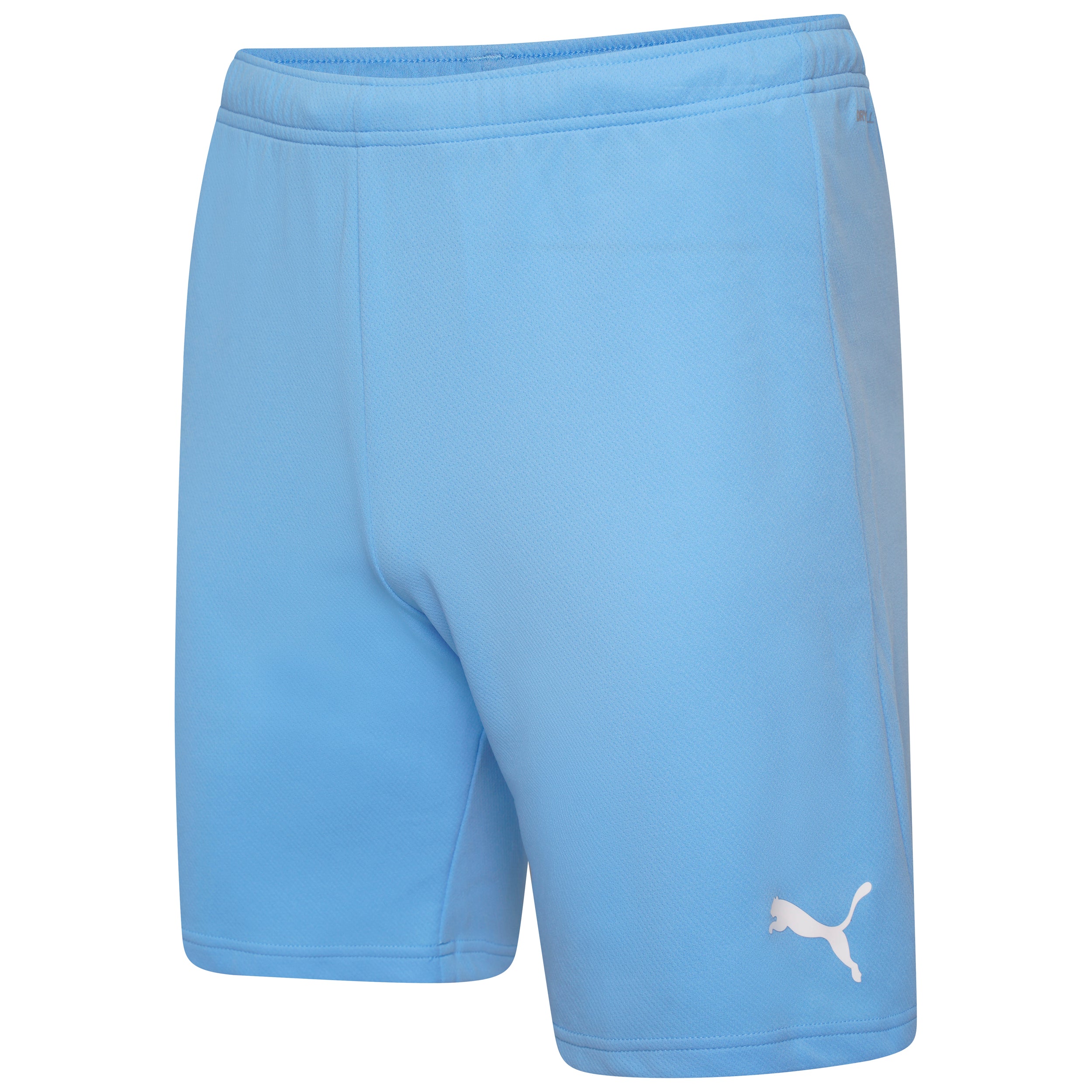 Puma Team Rise Shorts in Team Light Blue/White