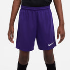 Nike Dri FIT Park III Short in Court Purple/White