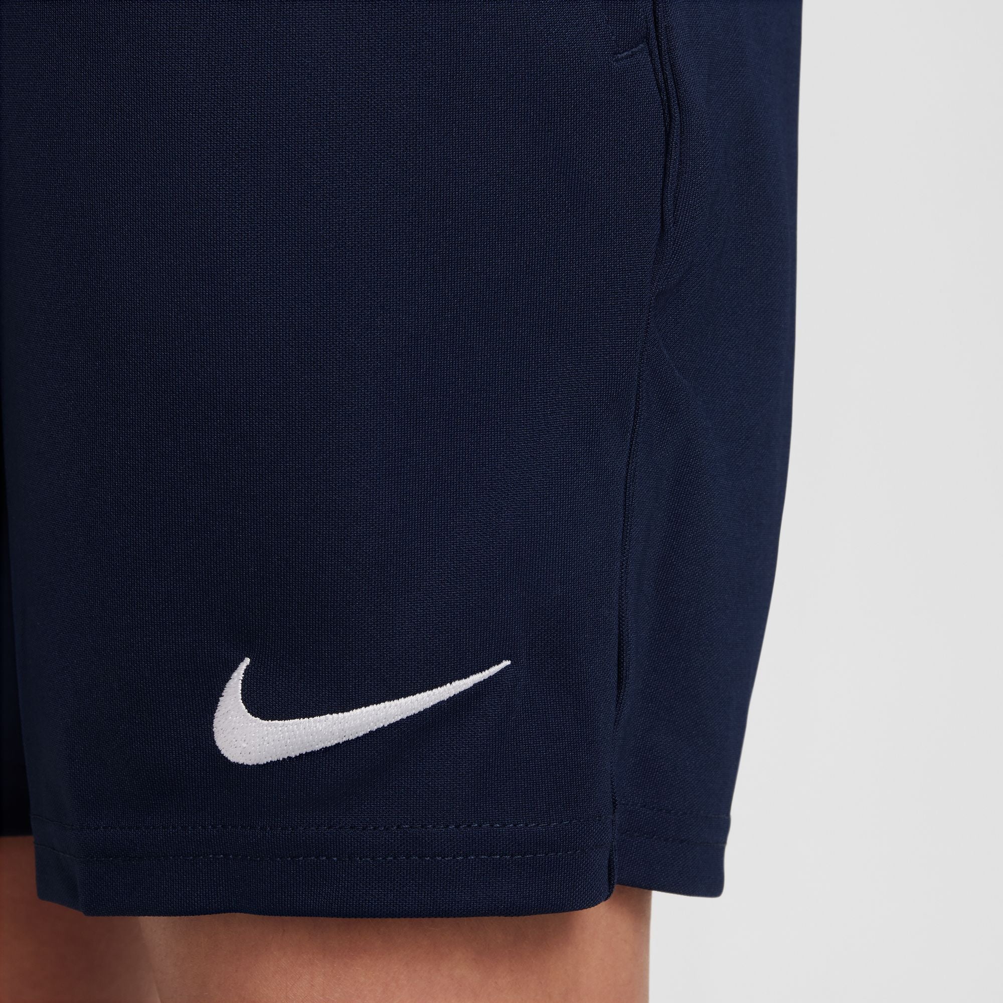 Men's nike dri fit shorts with pockets online