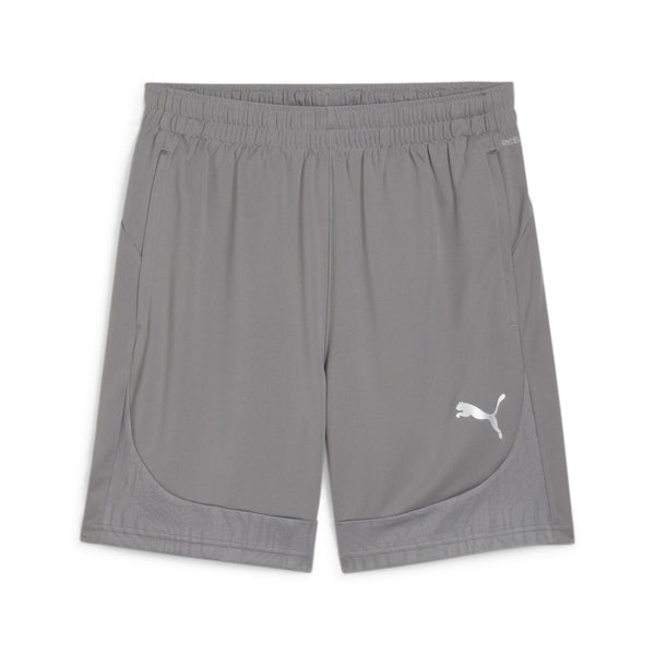 Puma Team Final Training Shorts KitKing