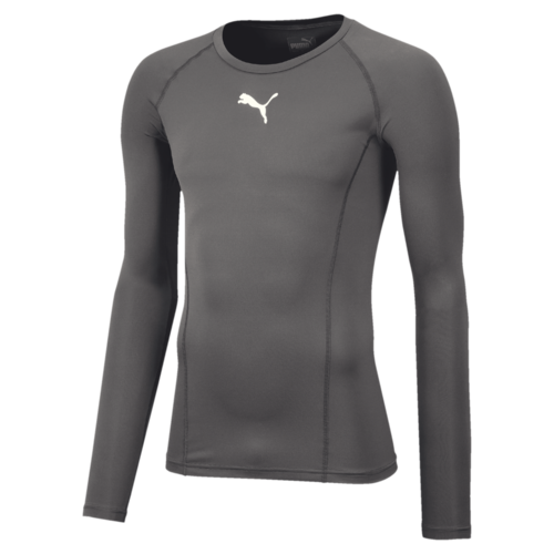 Puma Liga Long Sleeve Baselayer in grey