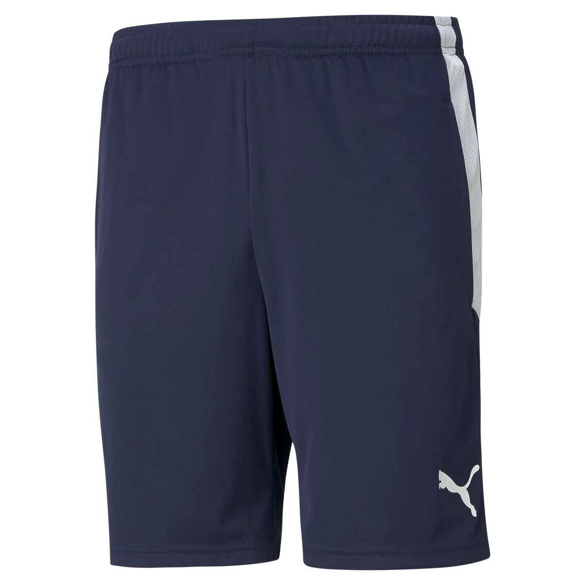 Puma men's formstripe 2024 mesh shorts 10