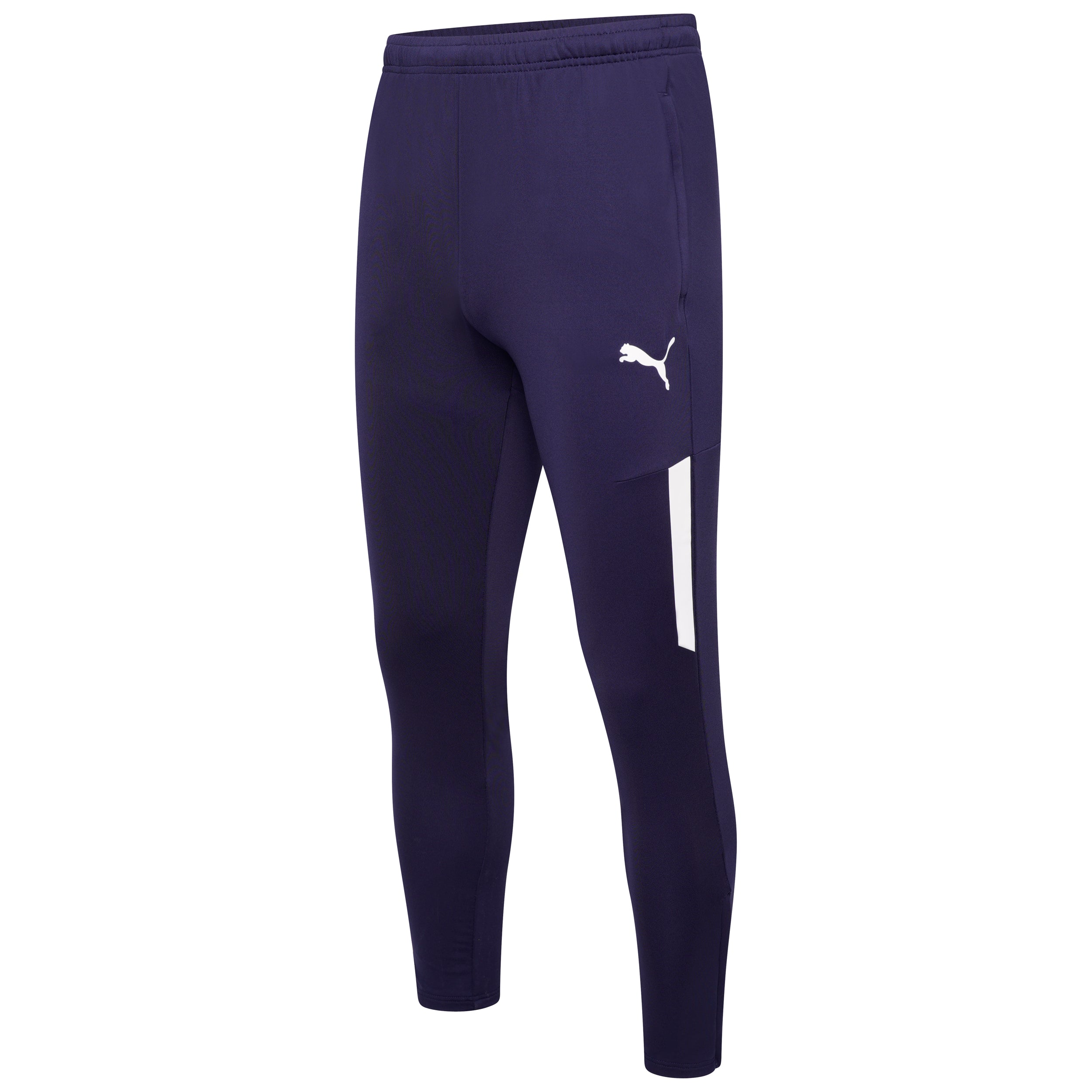 Puma Team Liga 25 Training Pro Pants KitKing