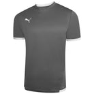 Puma Team Liga 25 Short Sleeve Shirt in smoked pearl