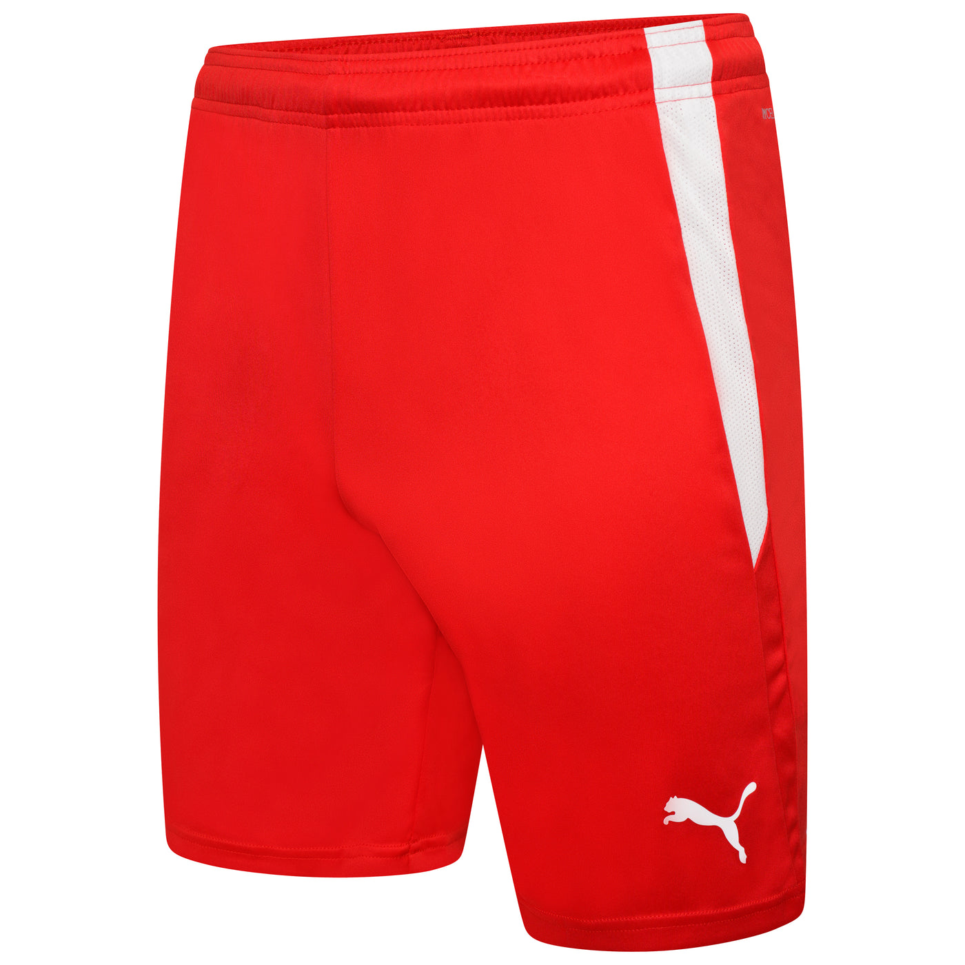 Puma Team Liga 25 Shorts — KitKing