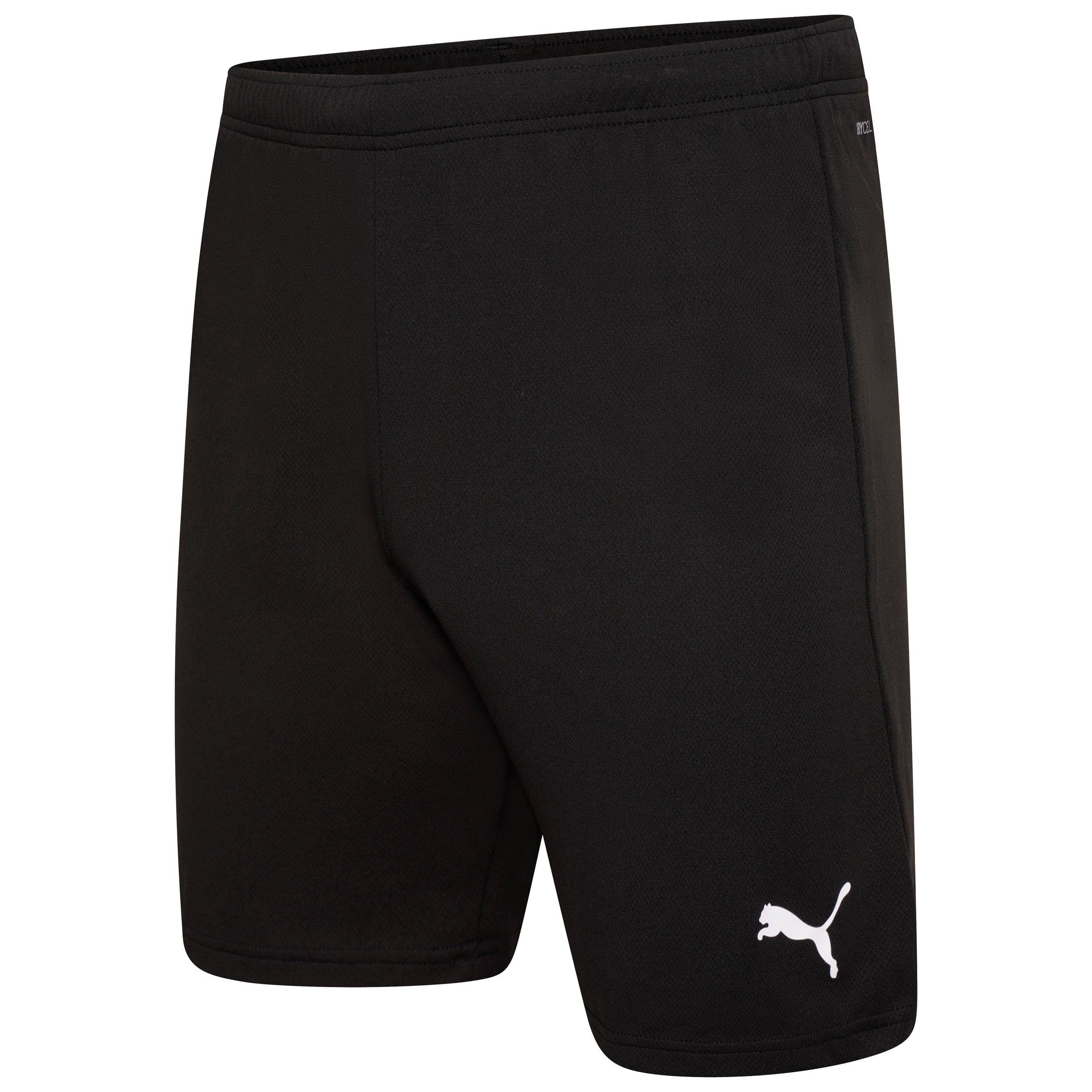 Puma Team Rise Shorts KitKing