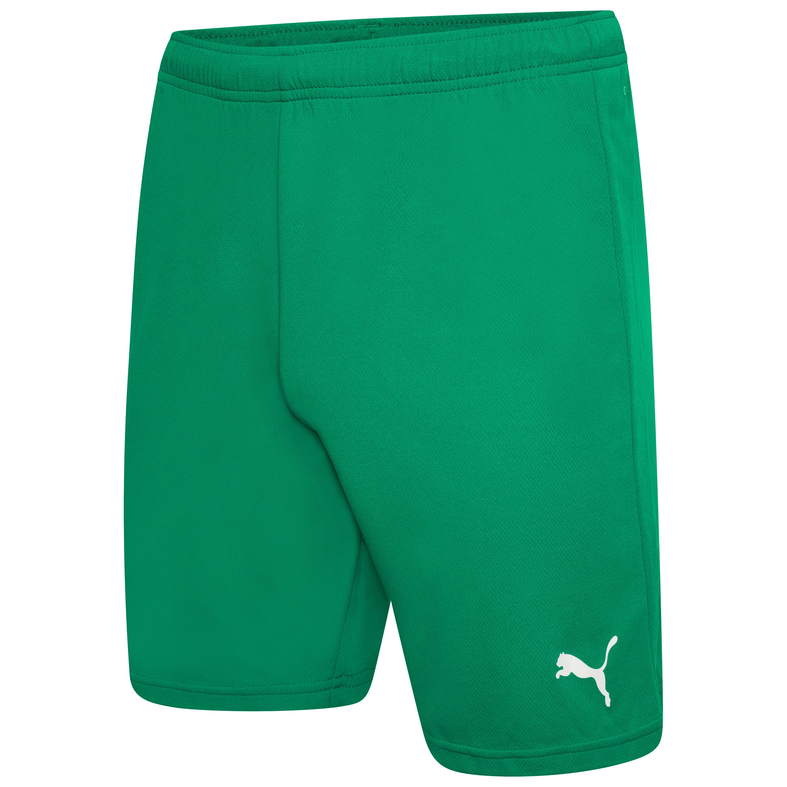 Puma Team Rise Shorts in Pepper Green/White