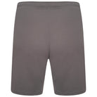 Puma Team Rise Shorts in Smoked Pearl/White