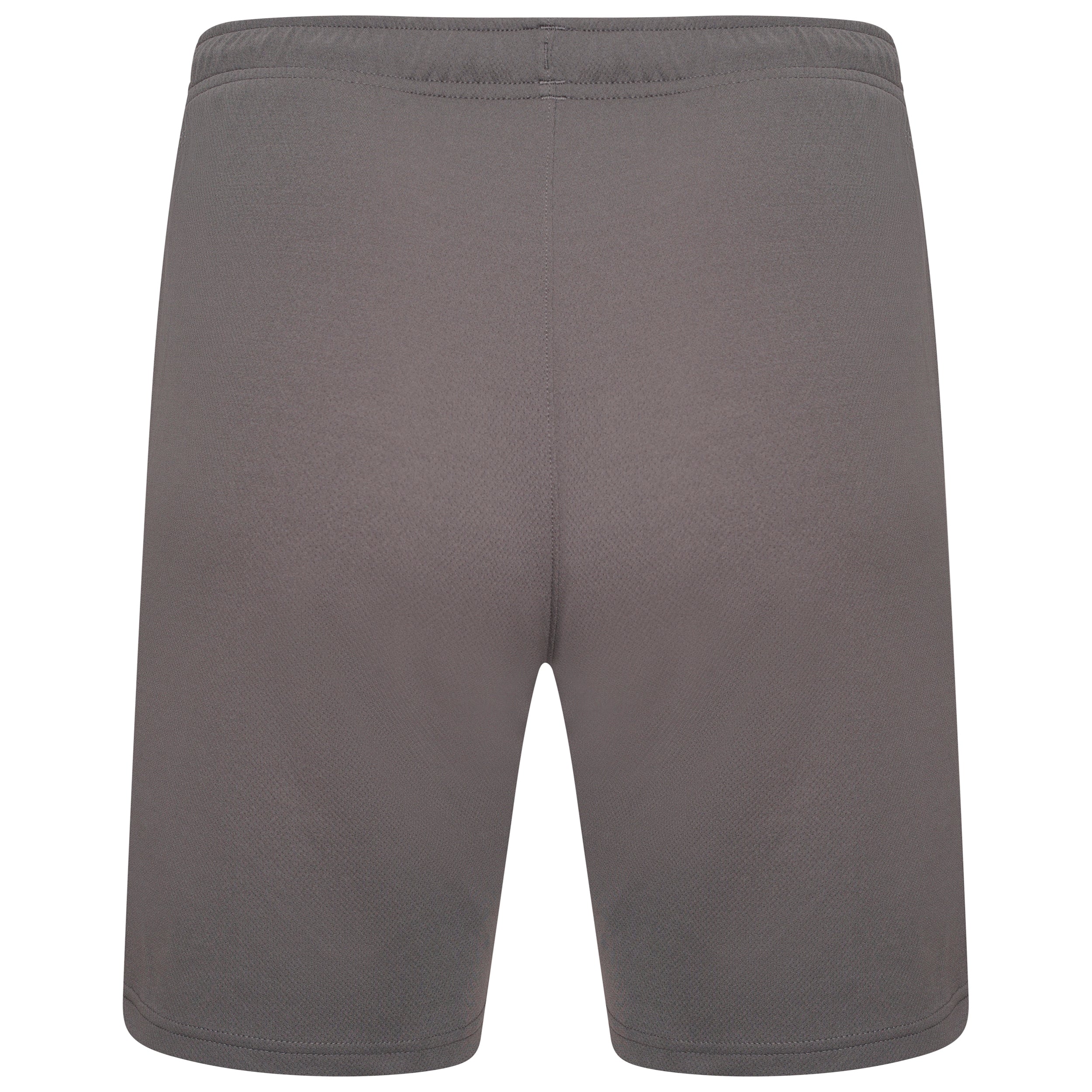 Puma Team Rise Shorts in Smoked Pearl/White