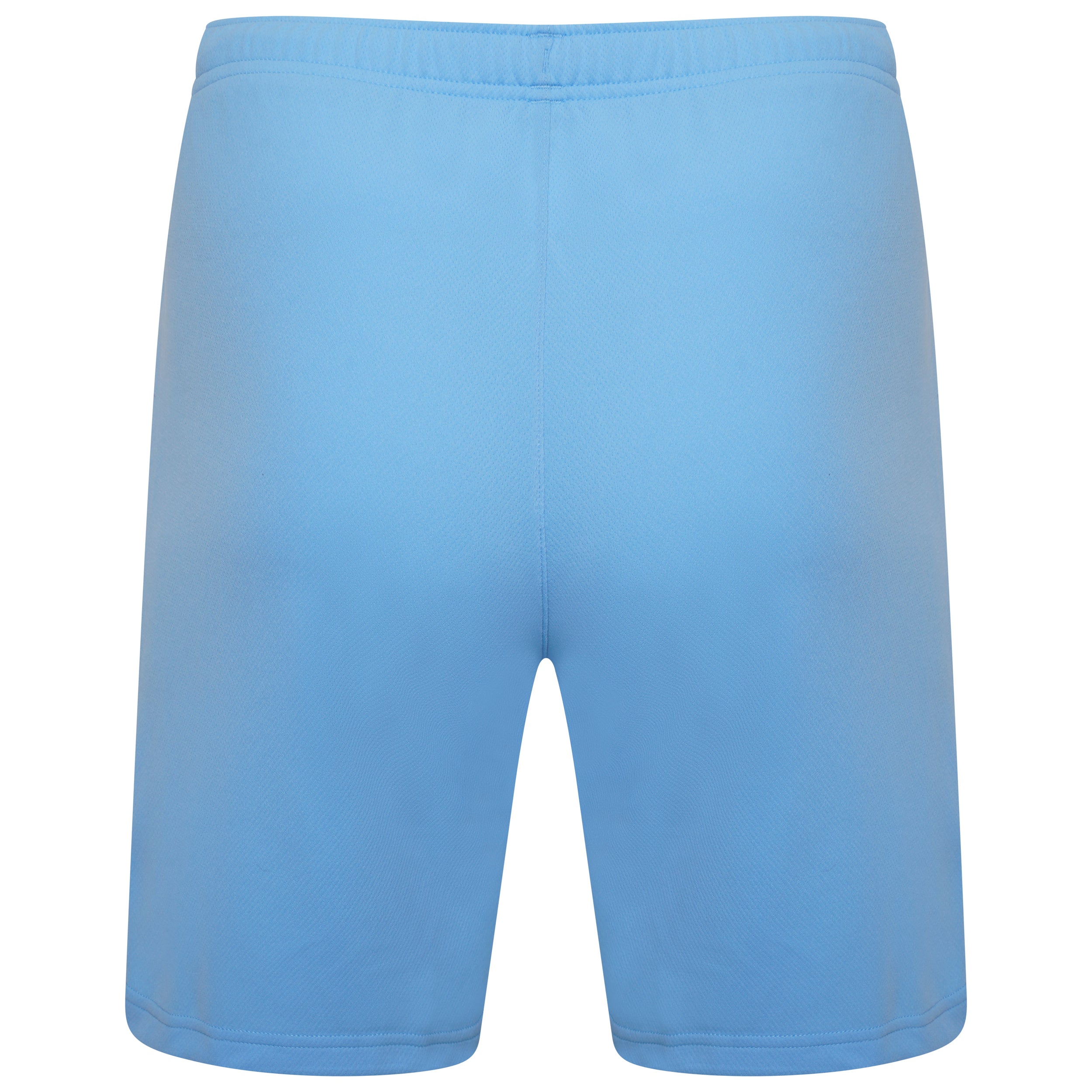 Puma Team Rise Shorts in Team Light Blue/White